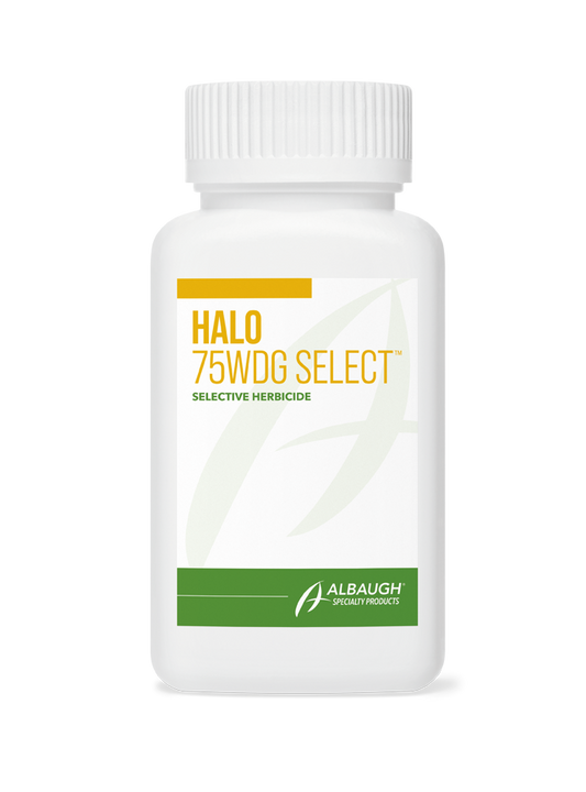 Halo 75 WDG Select